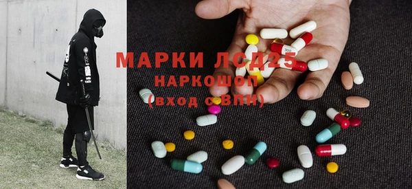 прущие грибы Кодинск