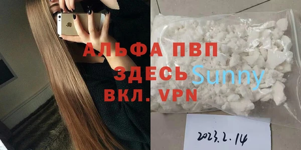 прущие грибы Кодинск